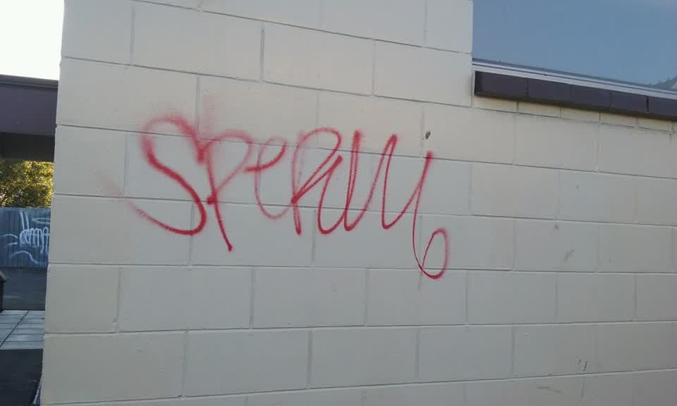 The photograph attached to this graffiti report