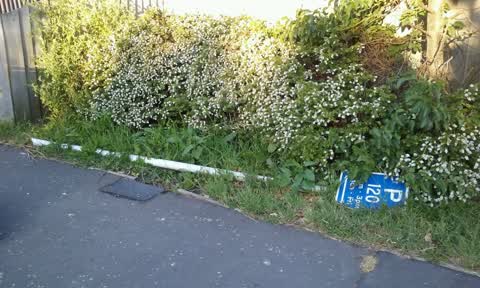 Roading/Streets, a report photo