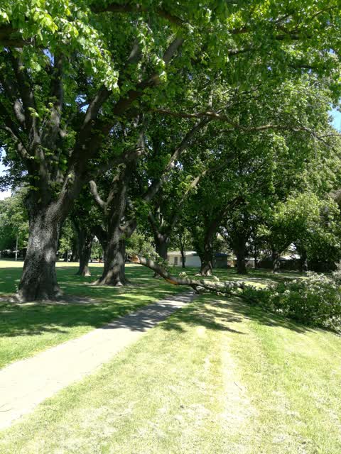 Parks, a report photo