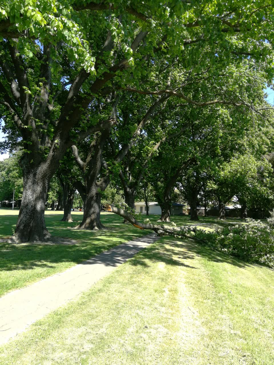 The photograph attached to this parks report
