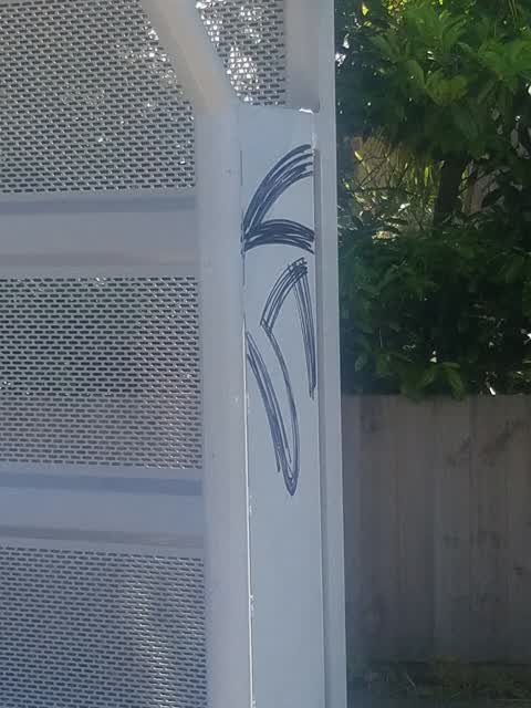 Graffiti, a report photo