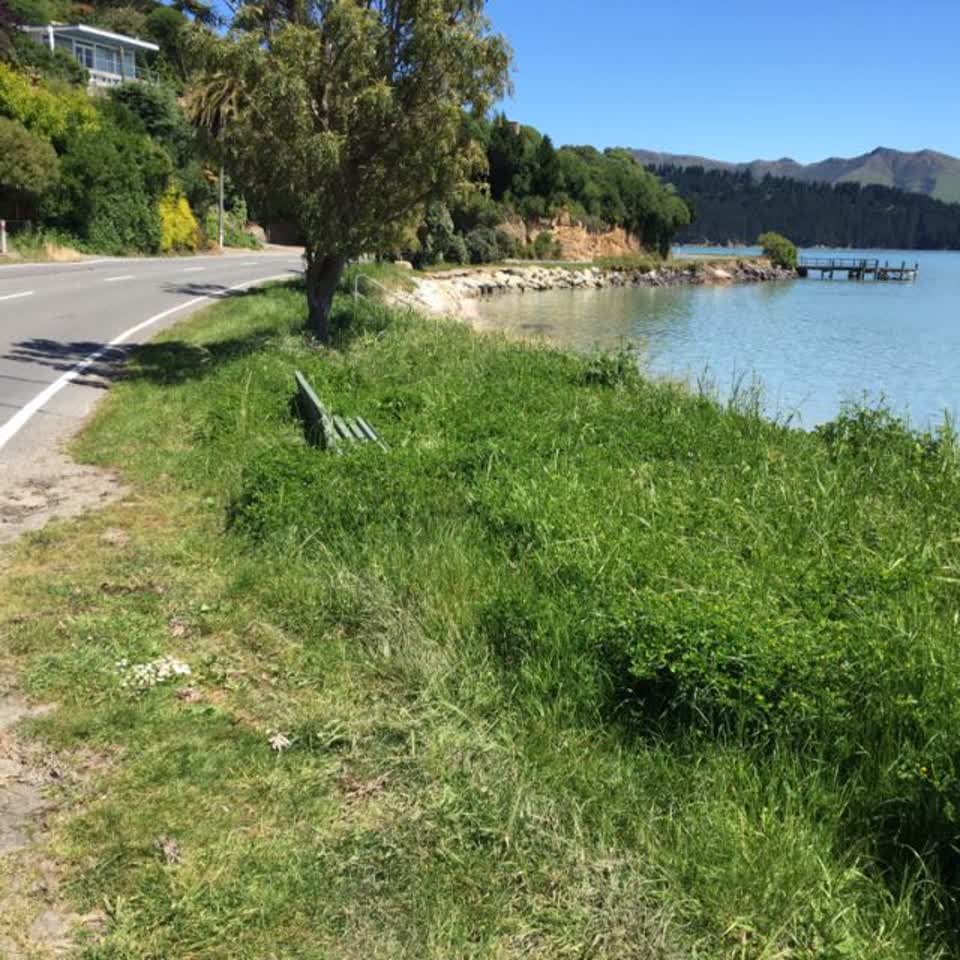 The photograph attached to this parks report