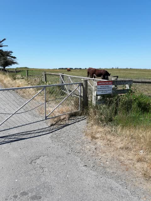 Parks, a report photo