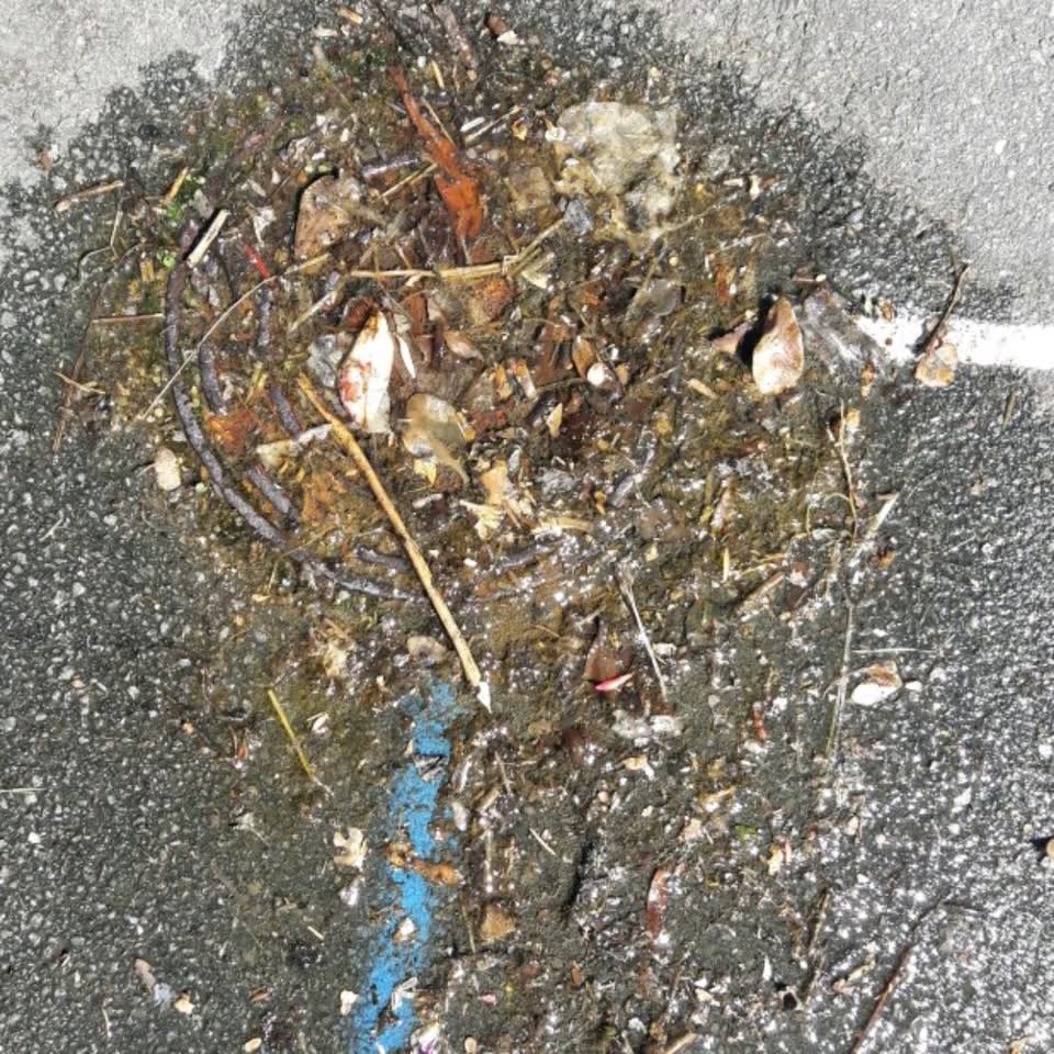 The photograph attached to this water supply report