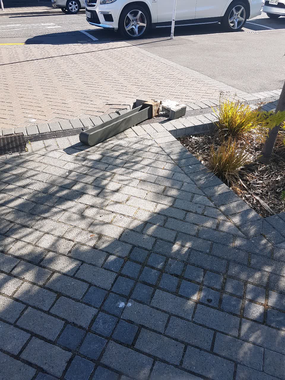 The photograph attached to this parks report