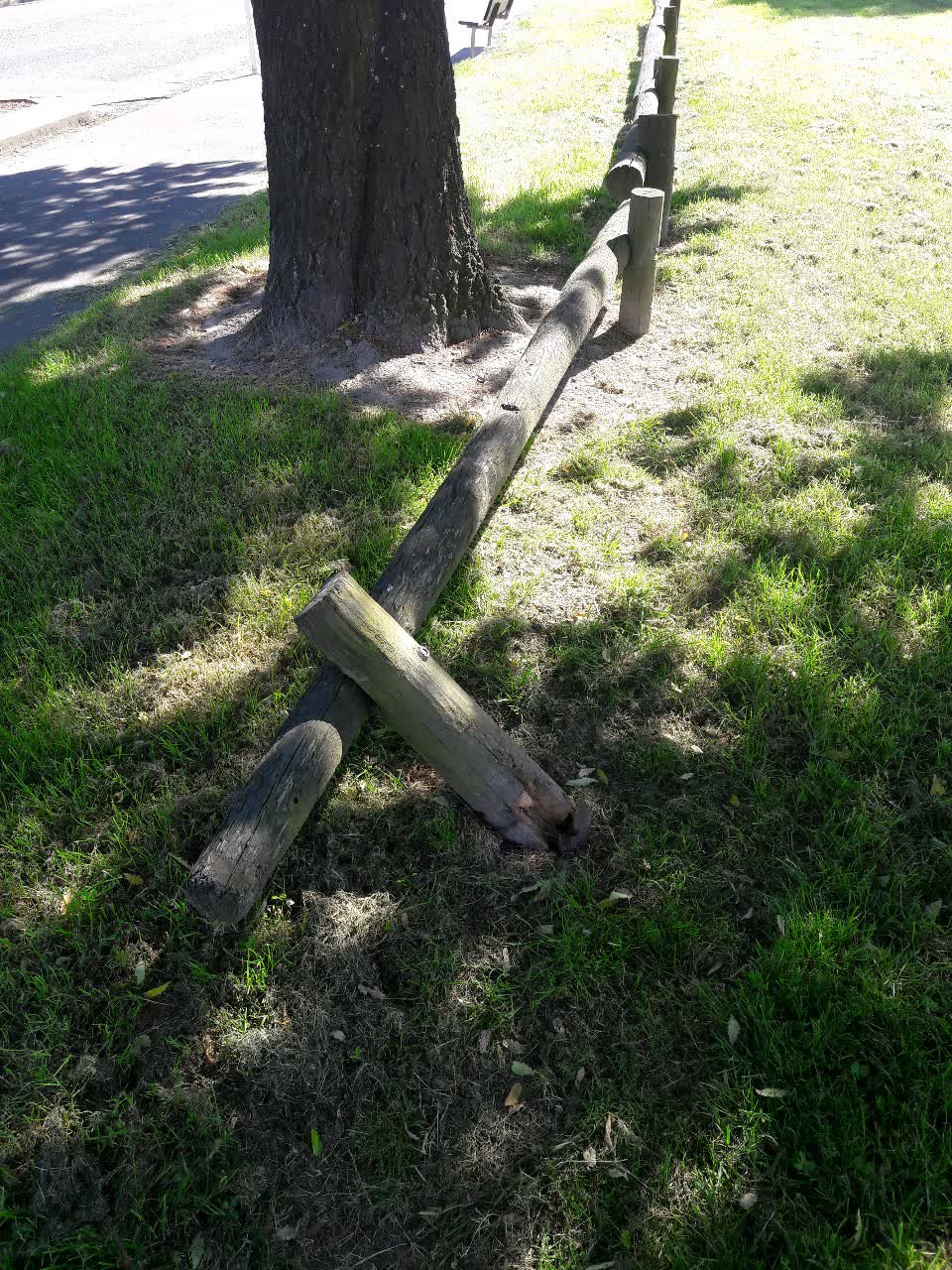 The photograph attached to this parks report