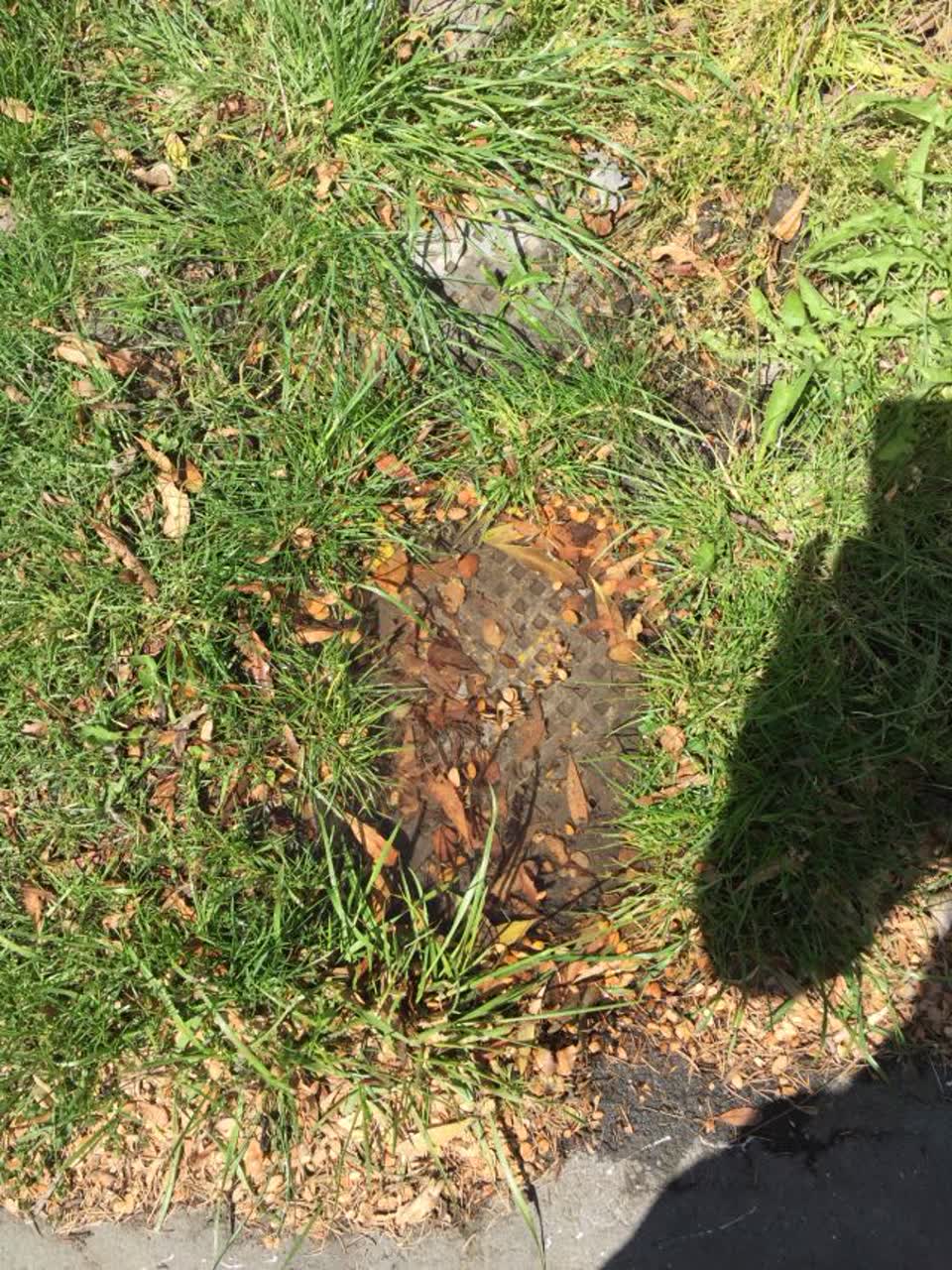 The photograph attached to this water supply report