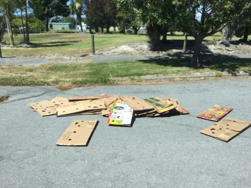 The photograph attached to this rubbish/recycling report