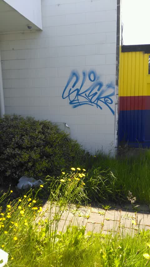 Graffiti, a report photo
