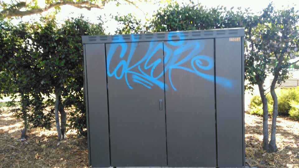 The photograph attached to this graffiti report