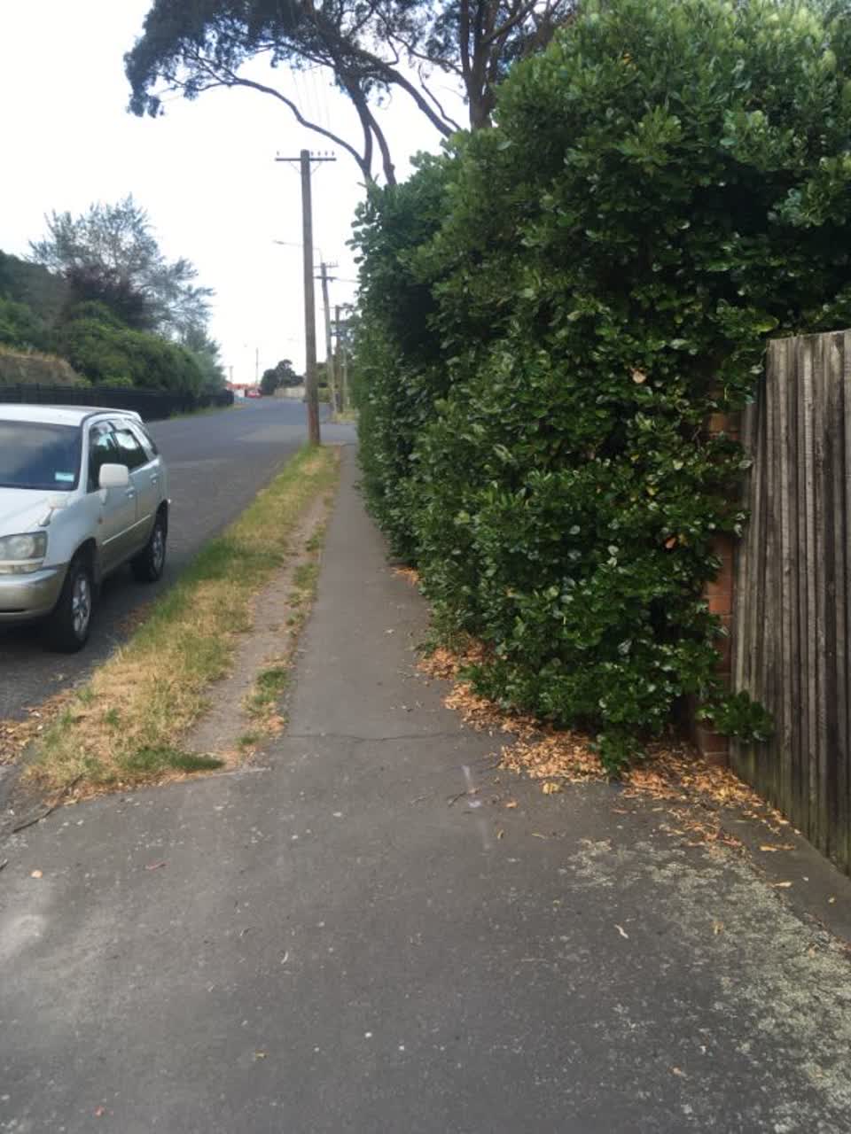 The photograph attached to this roading/streets report