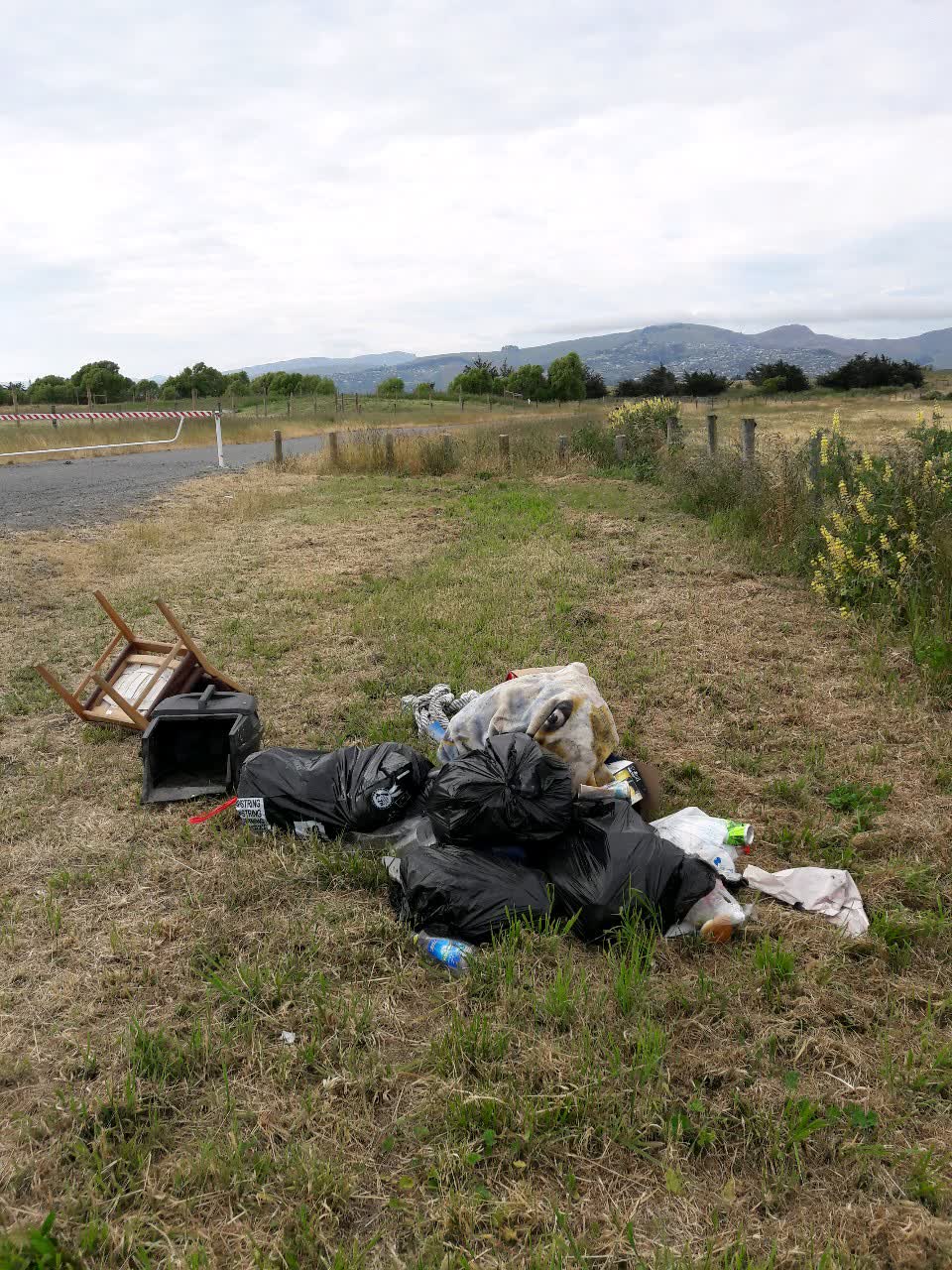 The photograph attached to this rubbish/recycling report