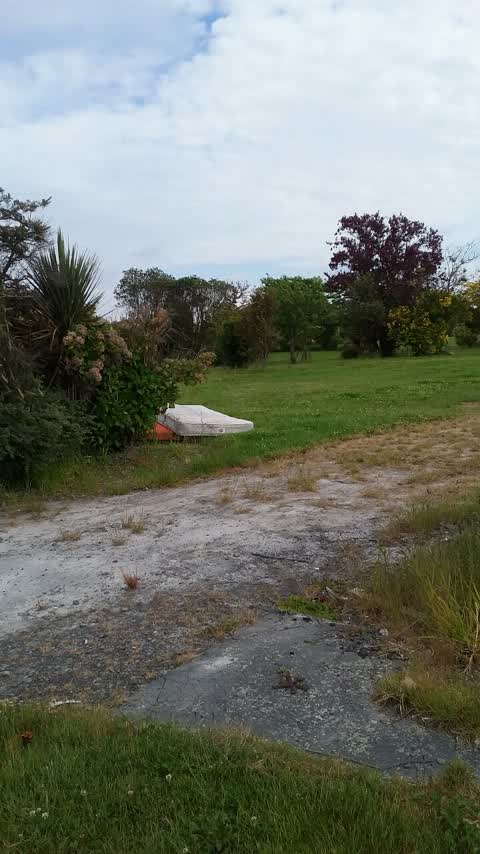 Rubbish/Recycling, a report photo