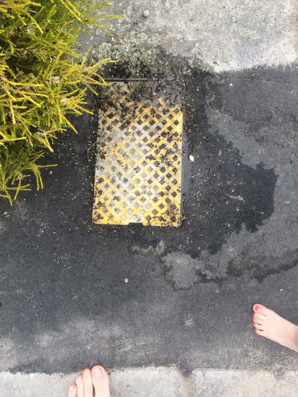 The photograph attached to this water supply report