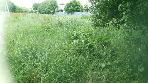 Parks, a report photo