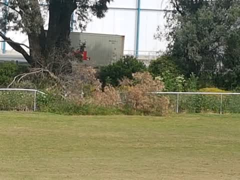 Parks, a report photo