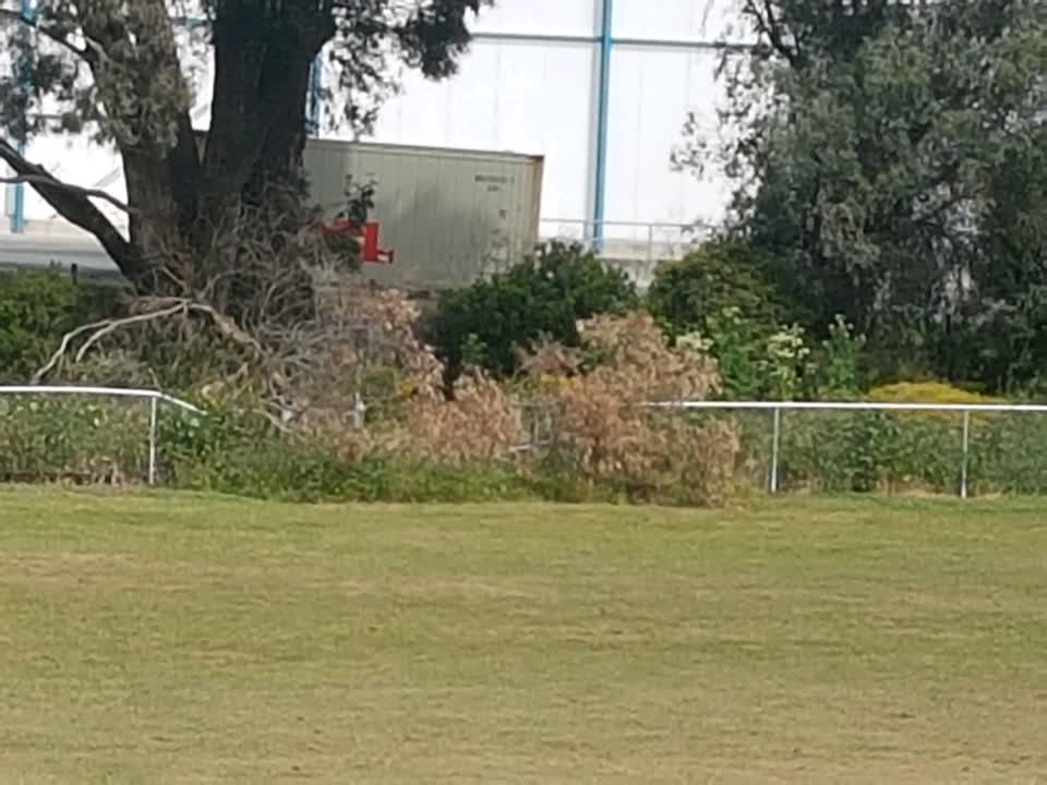 The photograph attached to this parks report
