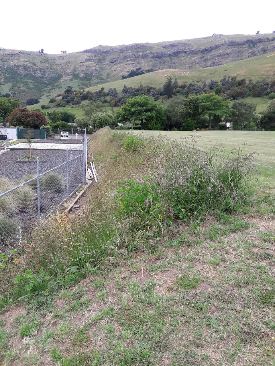The photograph attached to this parks report