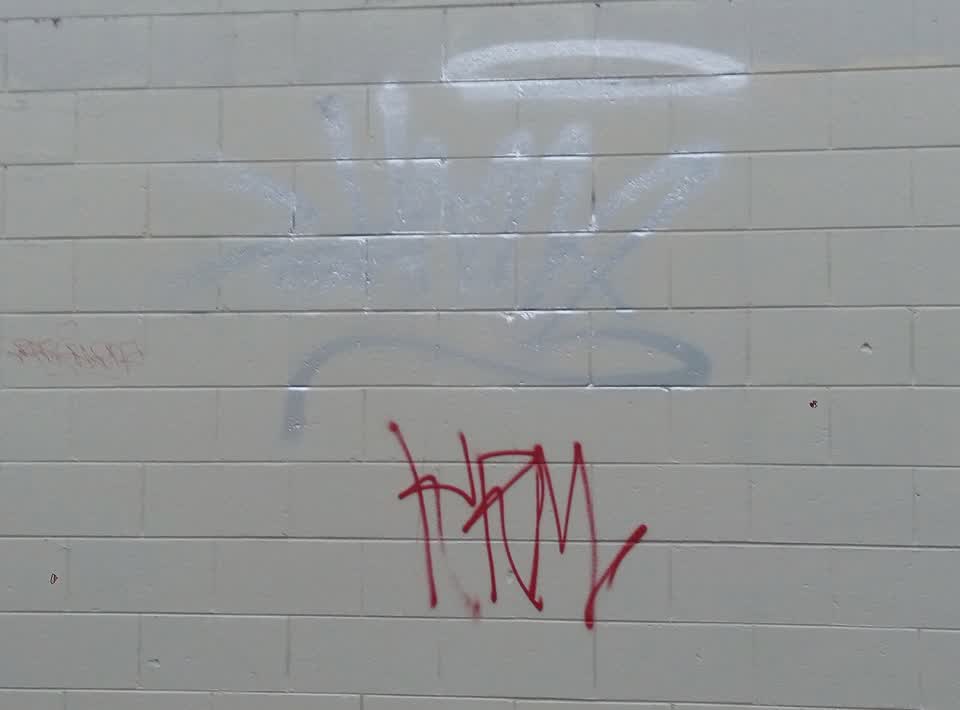 The photograph attached to this graffiti report
