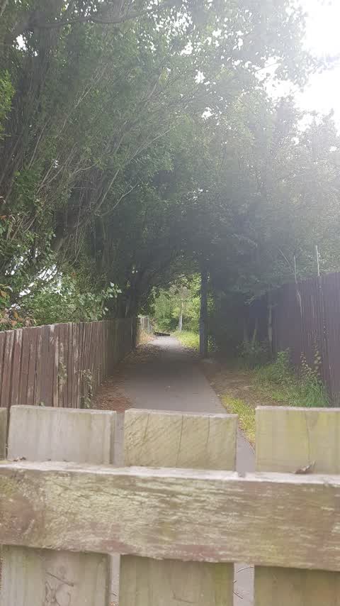 Roading/Streets, a report photo