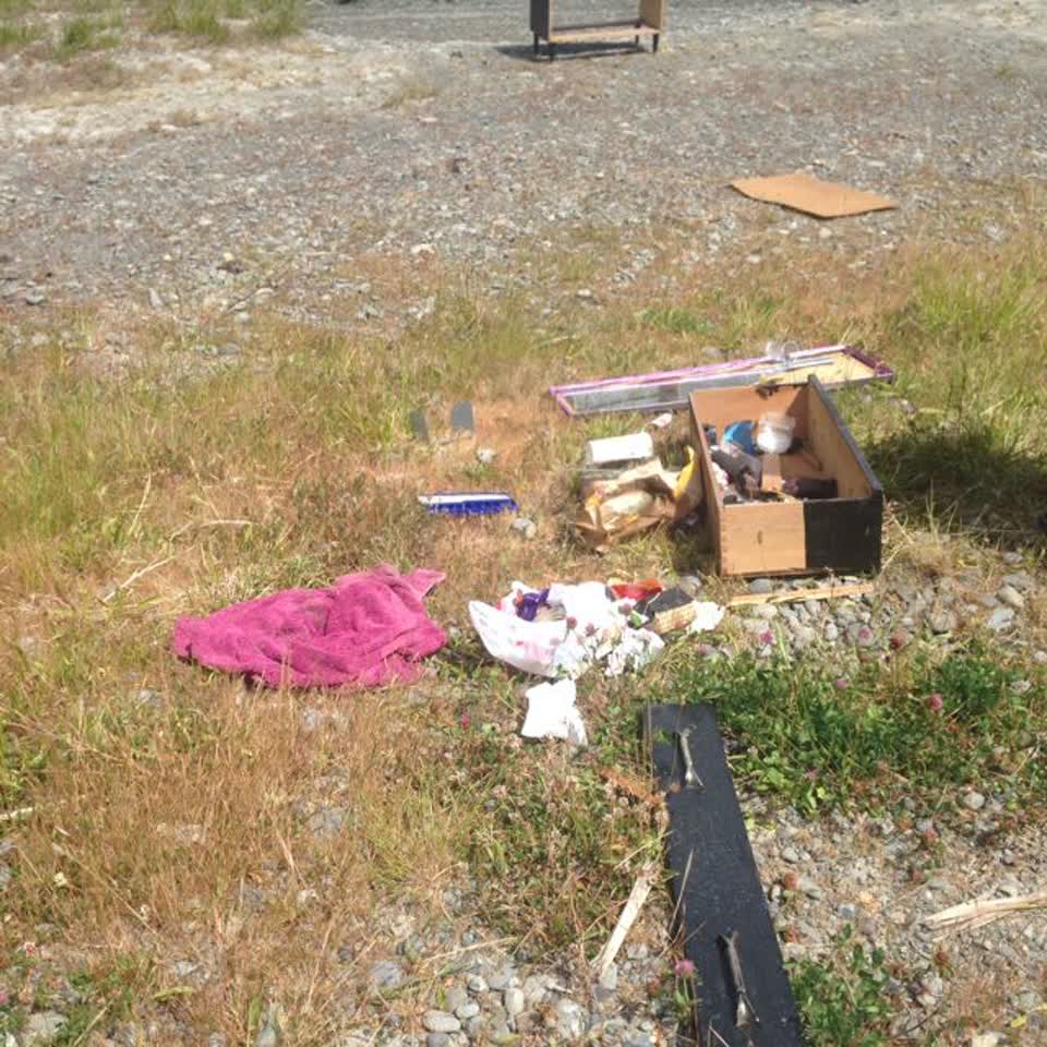 The photograph attached to this rubbish/recycling report