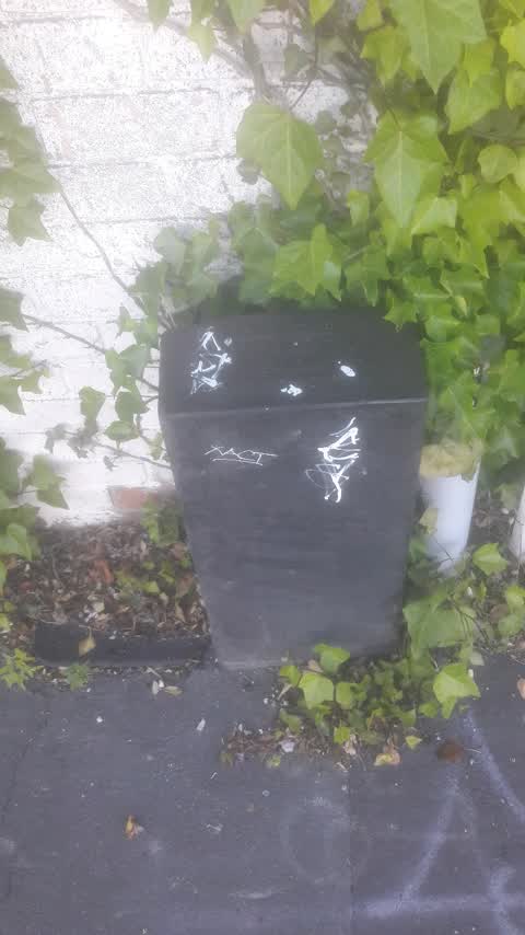 Graffiti, a report photo