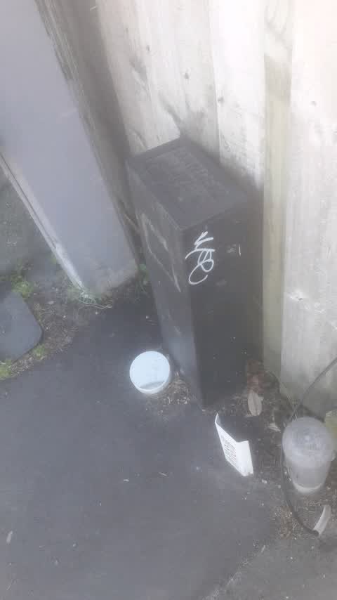 Graffiti, a report photo