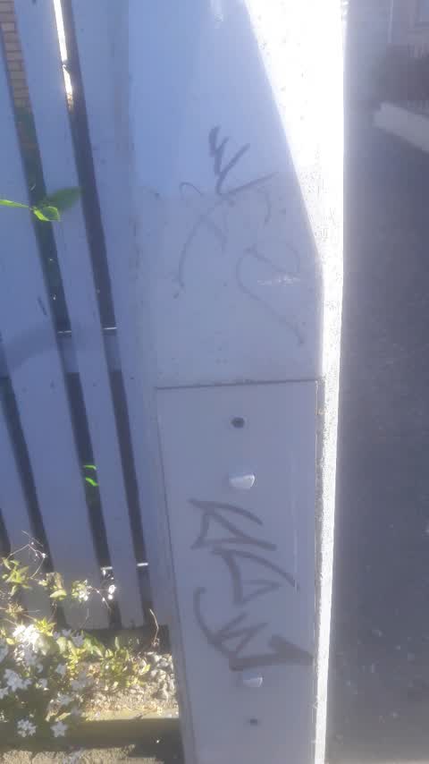 Graffiti, a report photo