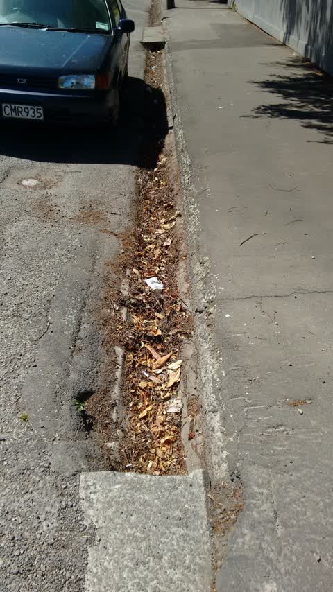Roading/Streets, a report photo