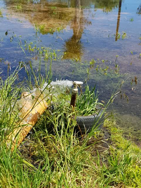 Water Supply, a report photo