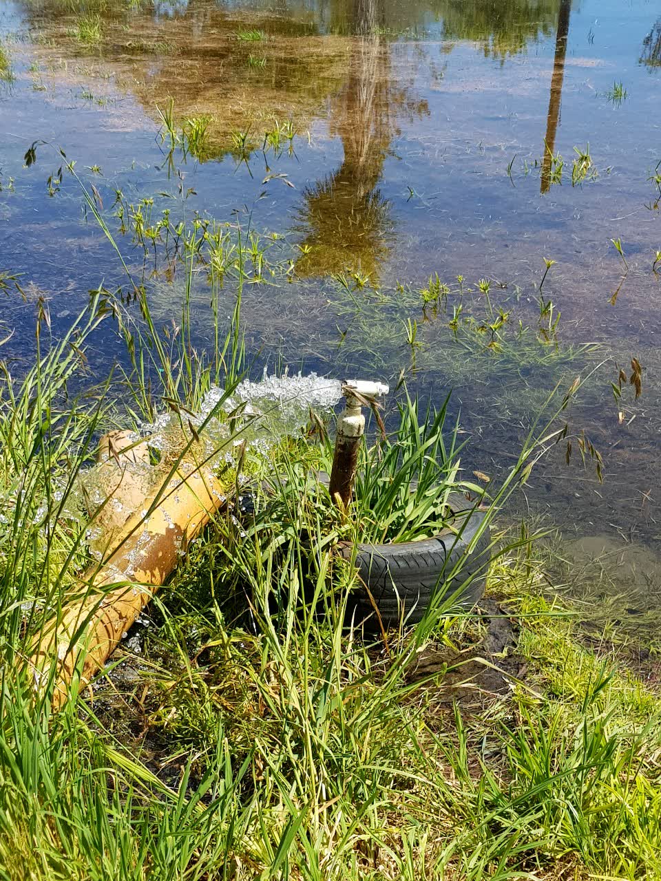 The photograph attached to this water supply report