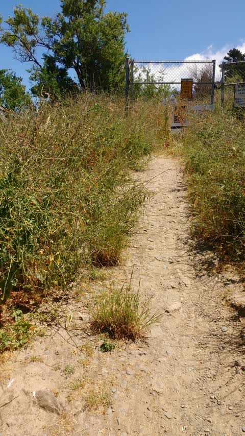 Parks, a report photo