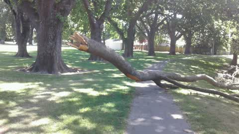 Parks, a report photo