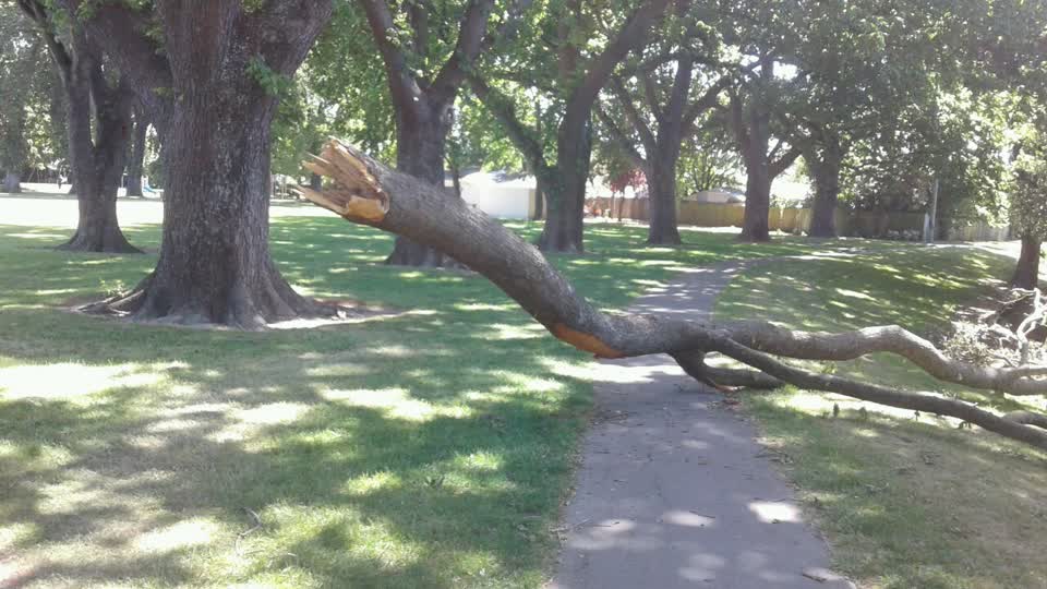 The photograph attached to this parks report