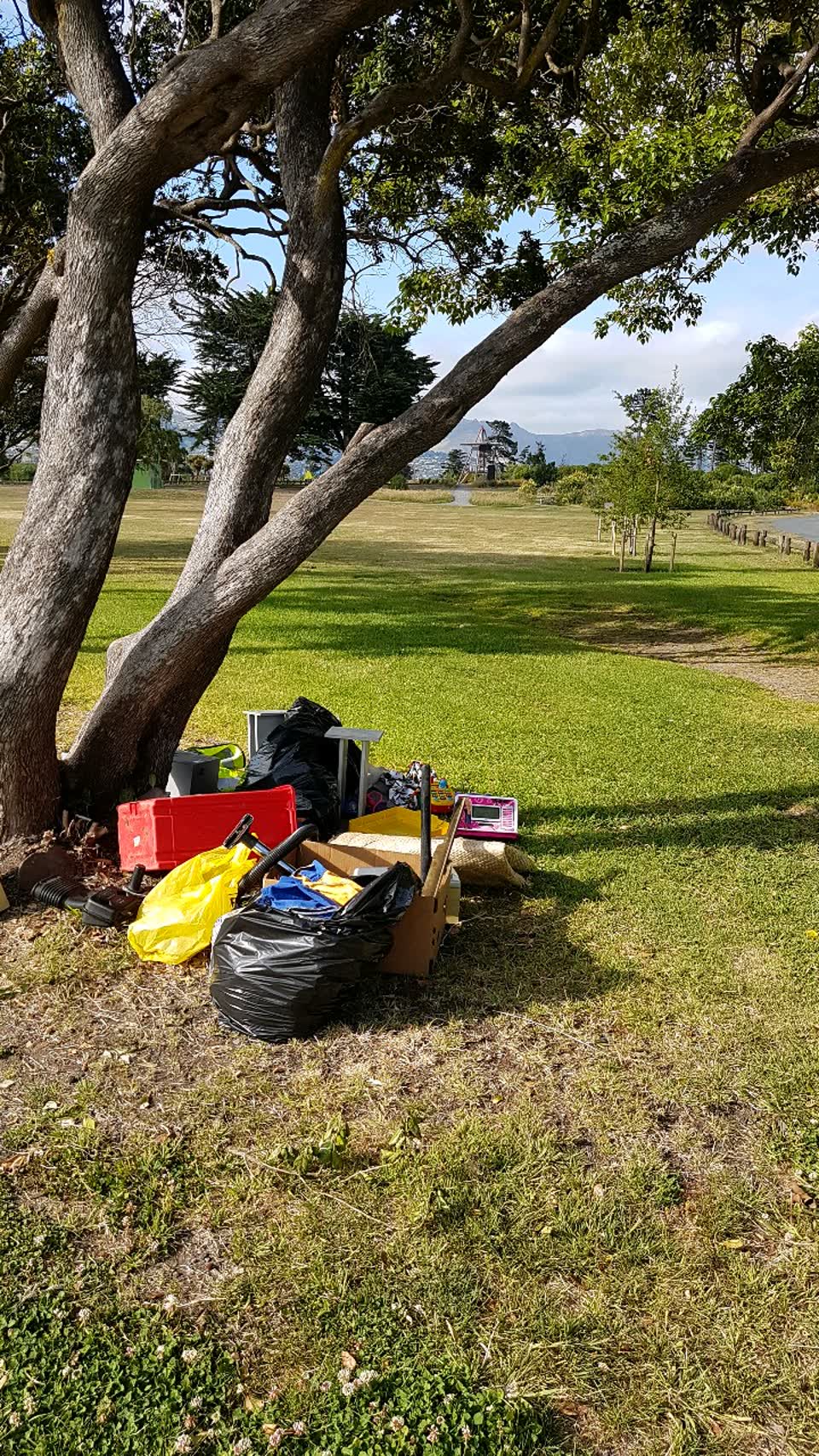 The photograph attached to this rubbish/recycling report