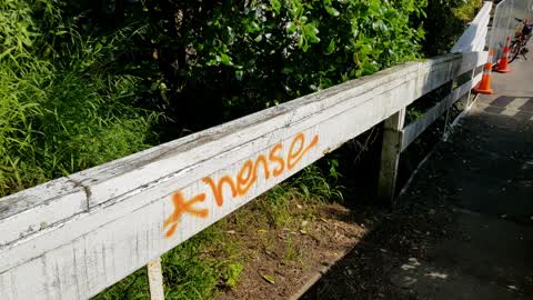 Graffiti, a report photo