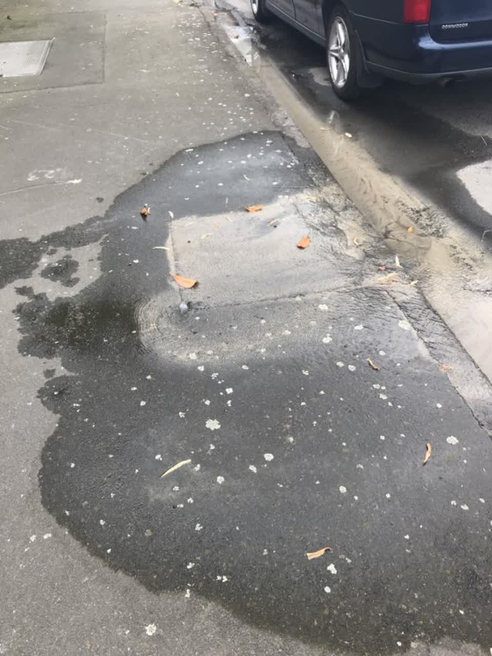 The photograph attached to this wastewater/stormwater report