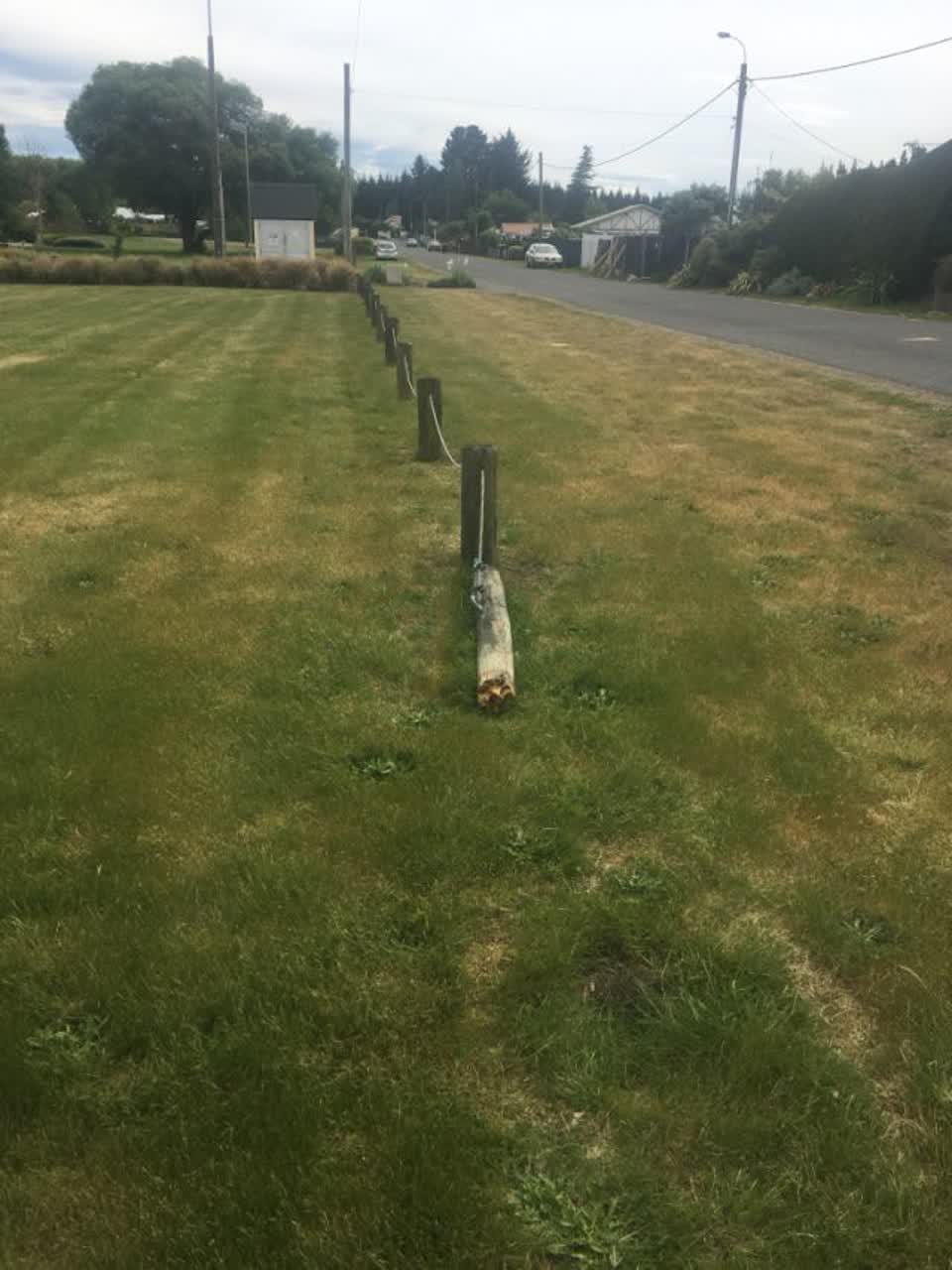 The photograph attached to this parks report