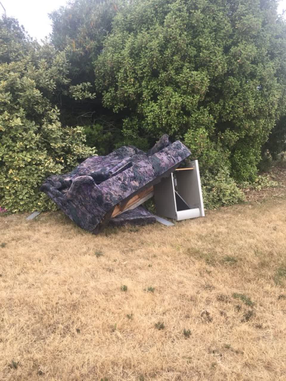 The photograph attached to this parks report