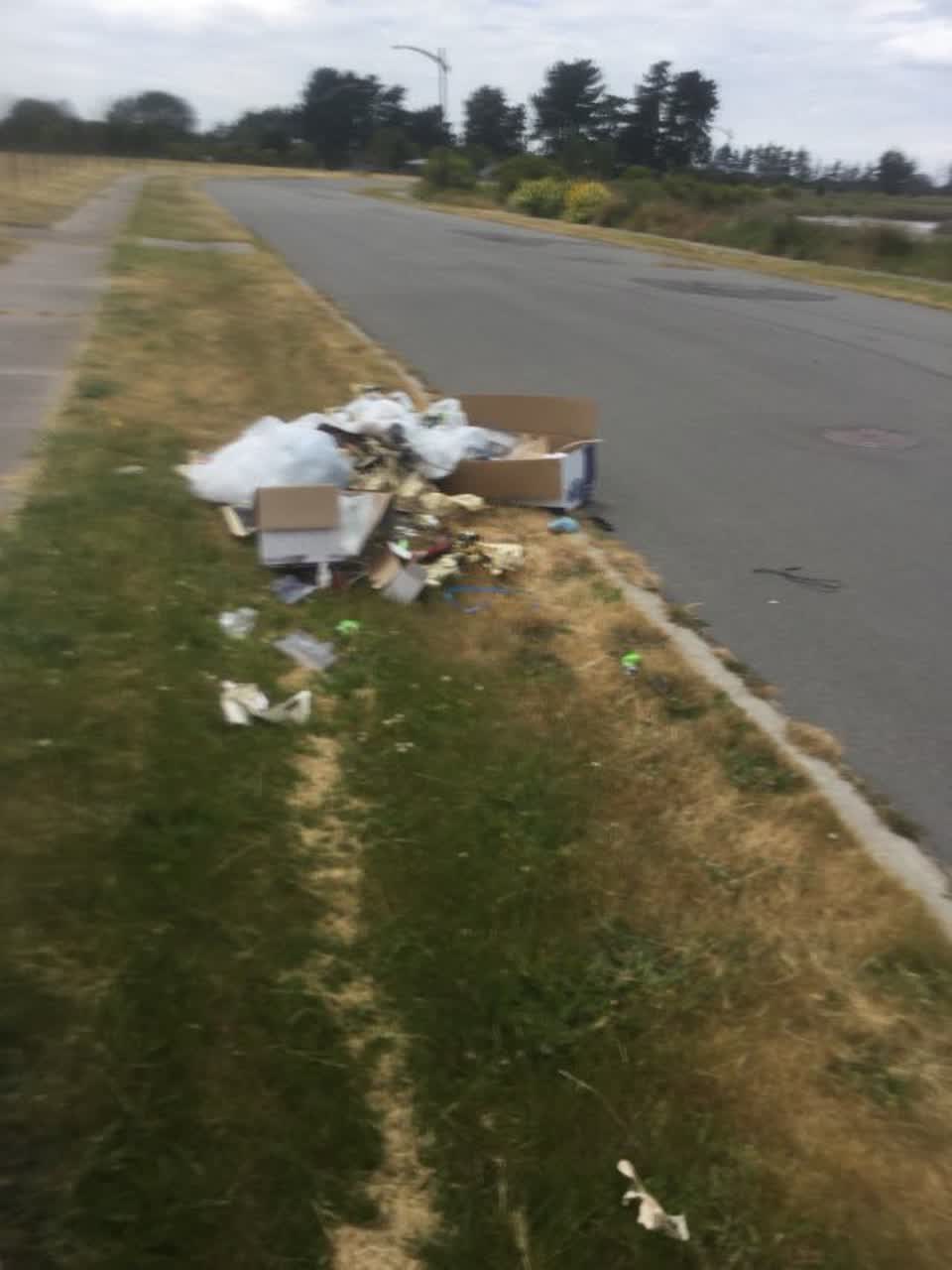 The photograph attached to this rubbish/recycling report