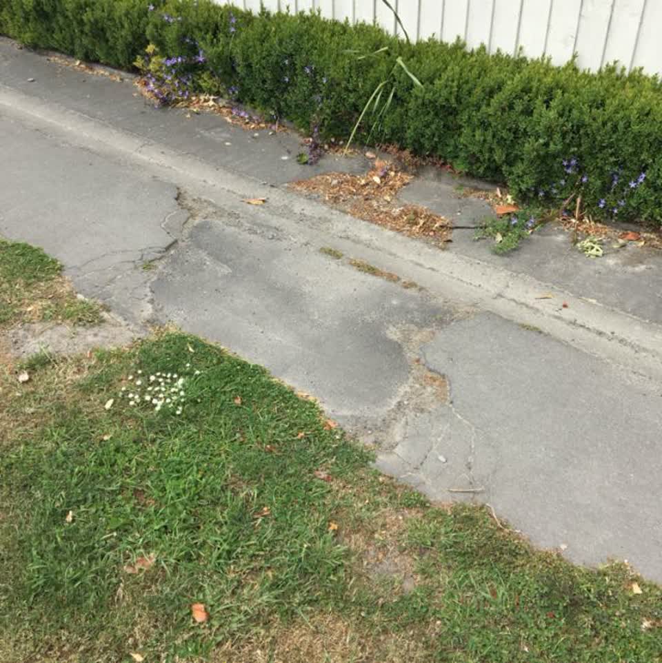 The photograph attached to this roading/streets report