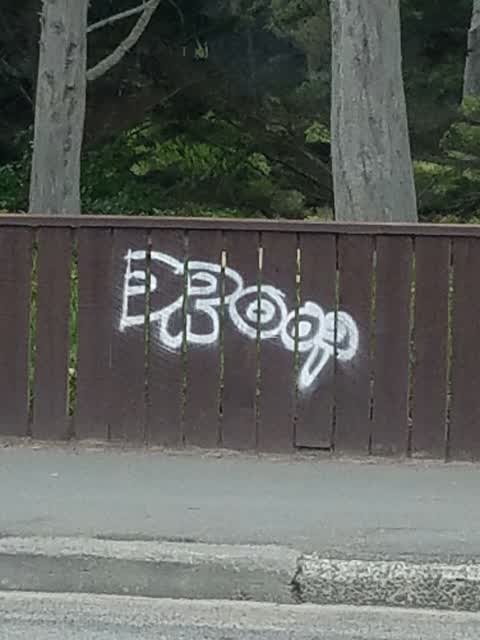 Graffiti — a report photo