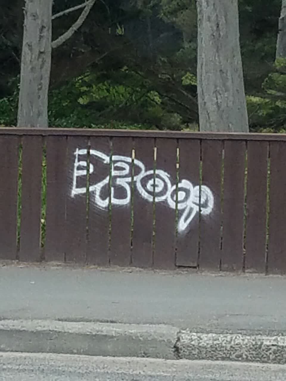 The photograph attached to this graffiti report