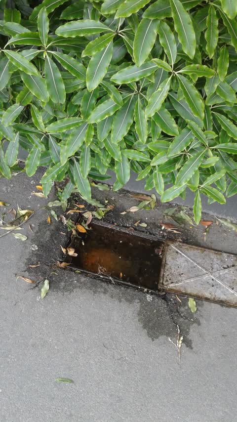 Water Supply, a report photo