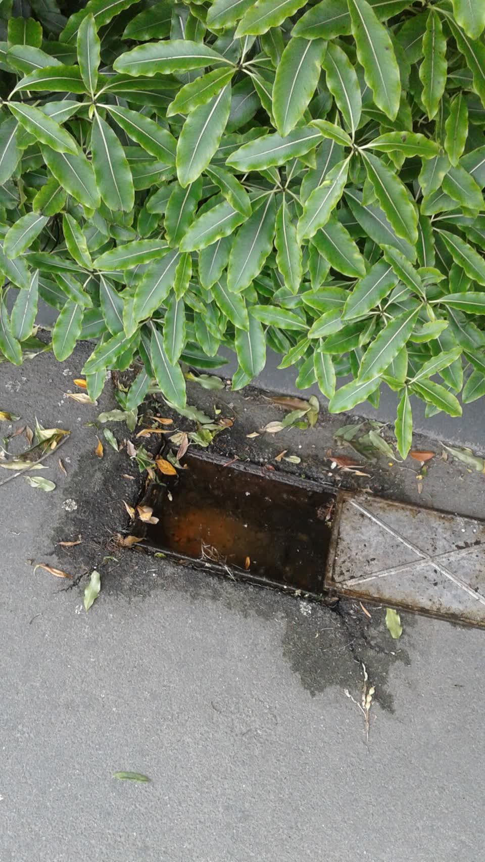 The photograph attached to this water supply report