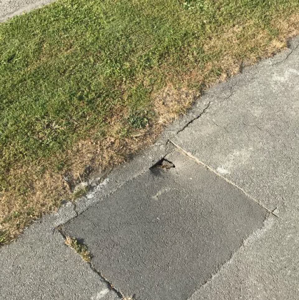 The photograph attached to this roading/streets report