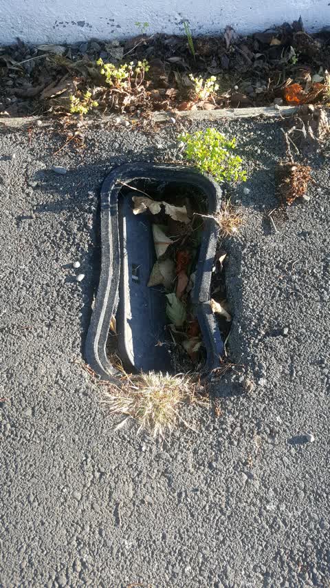 Roading/Streets, a report photo