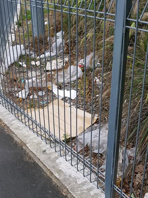 Rubbish/Recycling, a report photo