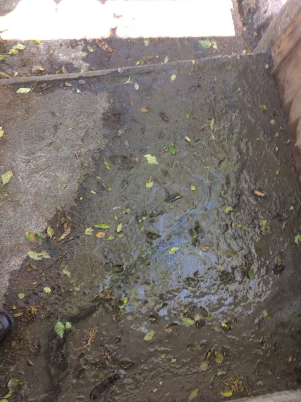 The photograph attached to this wastewater/stormwater report