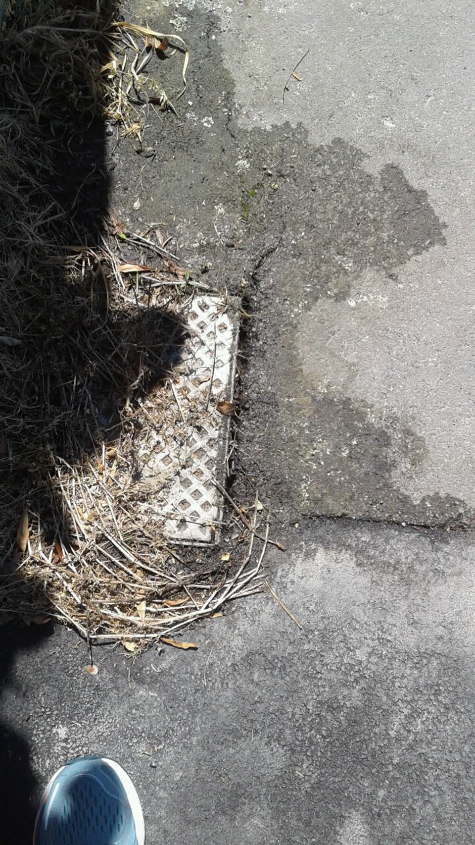The photograph attached to this water supply report